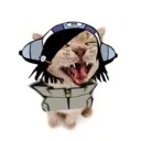 meow