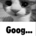 Goog