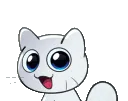 wink