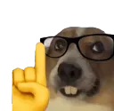 nerddog