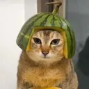 Watermelon_cat