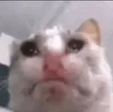 dogsad