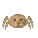 kit_spider