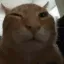 BUH