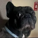 __