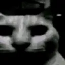 evil