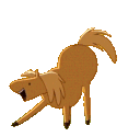 m_dog_wag animated GIF emoji from Unsupervised Adults ¹⁸⁺