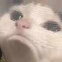 CE_Sadge CE_Sadge