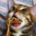 CE_Spaghetti CE_Spaghetti