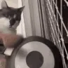 CE_WakeyWakey CE_WakeyWakey