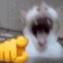 pointandlaugh
