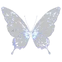 15425butterfly14