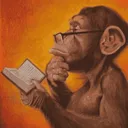 98694monkeythink