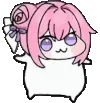 dorowiggle5