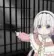ZR_Come01