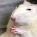 mmm