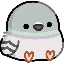 PigeonWasHere