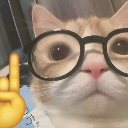 :nerdcato: