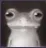 frogstare frogstare