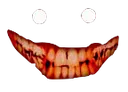cheshire