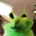 Gluh