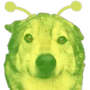 worp