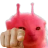 rorppoint