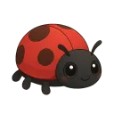 Ladybug