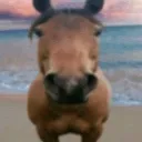 fuckass_horse