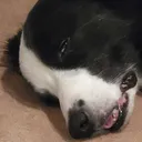 ded