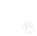 whitepaws