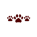 C0