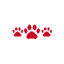 C1
