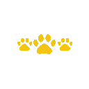 C2