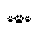 Ca1