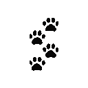 Ca2