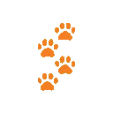 Ca3
