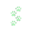 Ca5