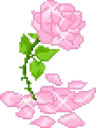 pinkflwr