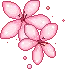pinkblossoms