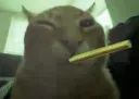 buhblunt