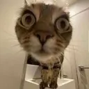 WatchaDoin