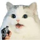 A_catgun