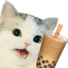 A_catboba