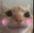 :blushcat: