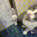 67625starringcat