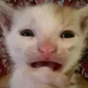 Regret