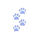 Ca7