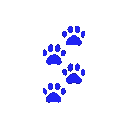 Ca8