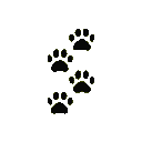 Ca9